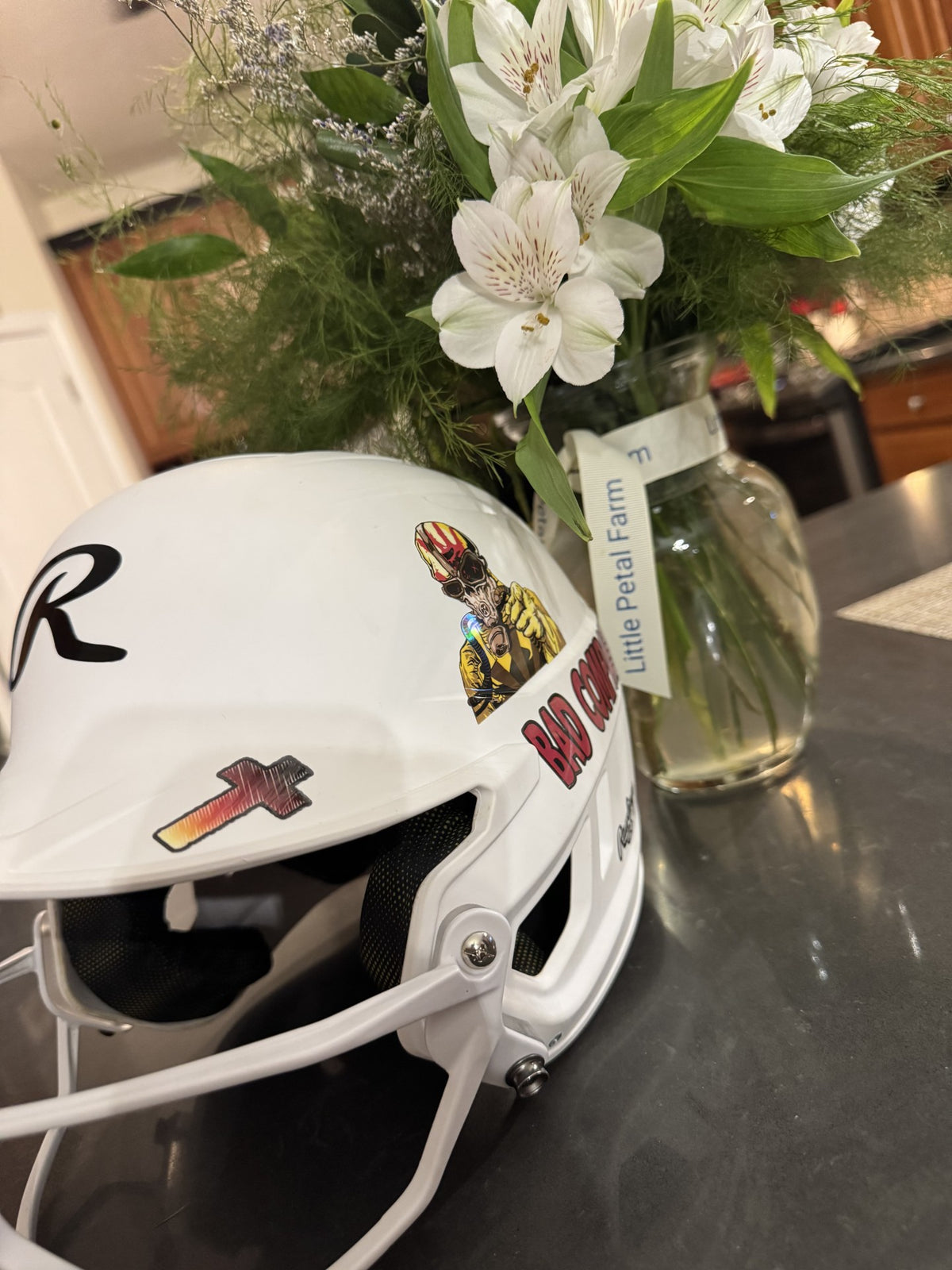 Sports Fan Helmet Decals