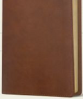 Personalized NLT Leatherlike Bible