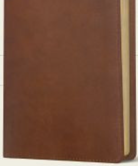 Personalized NLT Leatherlike Bible
