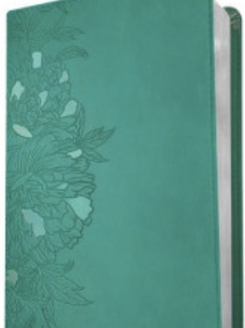 Personalized NLT Leatherlike Bible