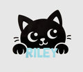 Custom Name Stickers | Waterproof Vinyl Sheet